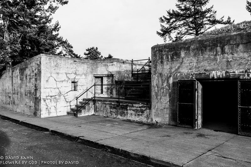 20190101-DSC00604-B&amp;W