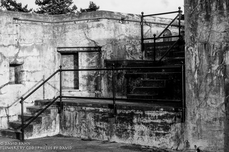 20190101-DSC00605-B&amp;W