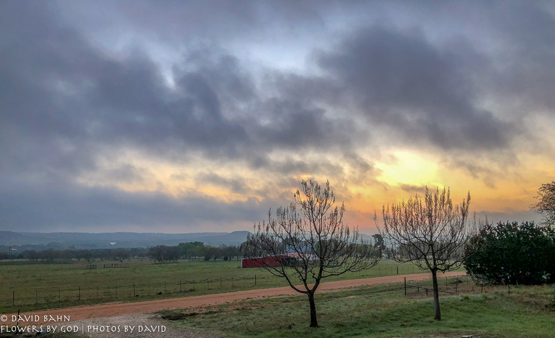 20190404-Avalon-cabin