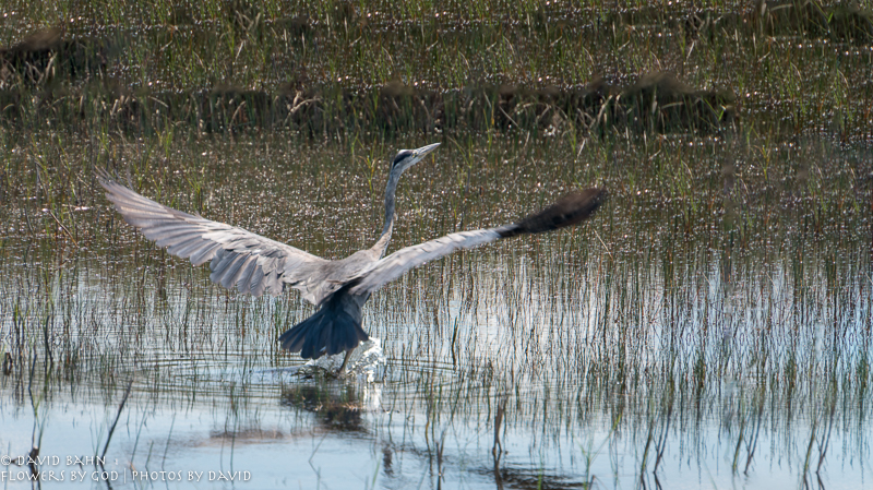 20190517-DSC08037-Edit