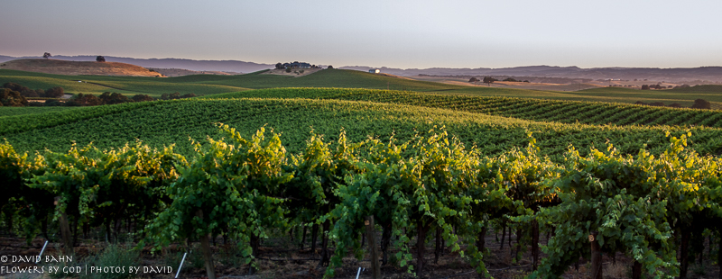 August 2014 NWHPC Assigned Category: Landscapes - 1st Place