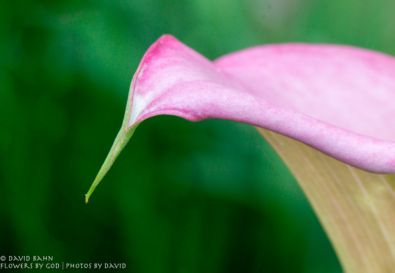 20170429-DSC06307-Edit