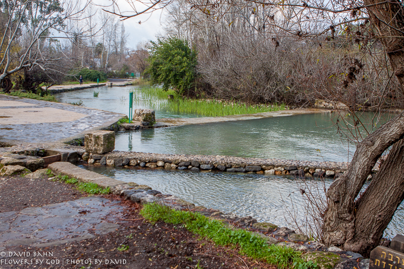 01-19-2012-Israel-Tour-7692