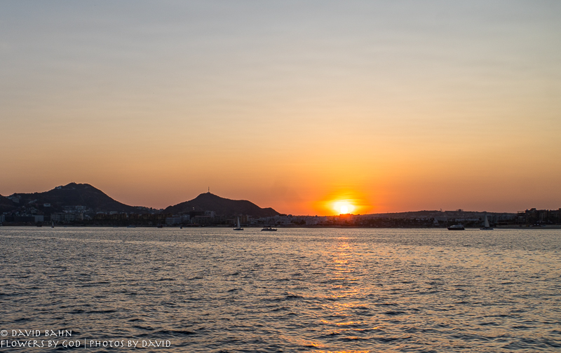 20190820-DSC09311