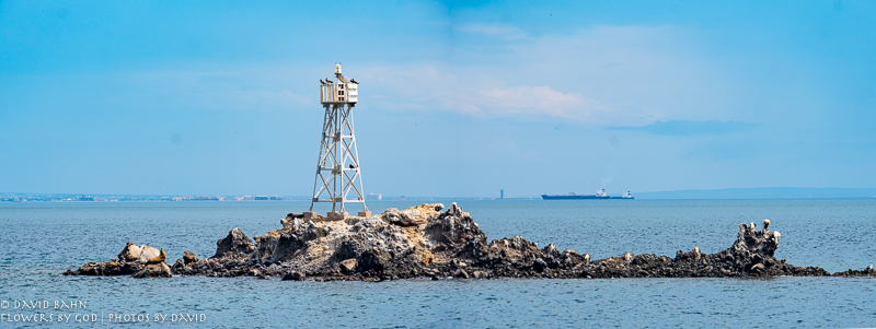 20190822-DSC09549-Pano