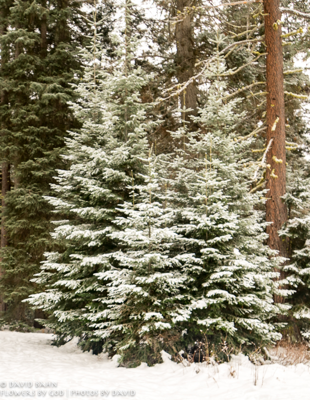 20191228-DSC00012-New Blog Post-2