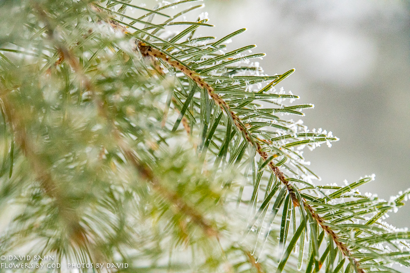 20191228-DSC00038-New Blog Post-2