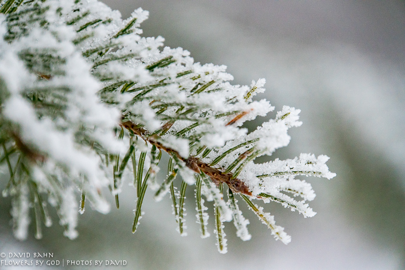 20191228-DSC00041-New Blog Post-2