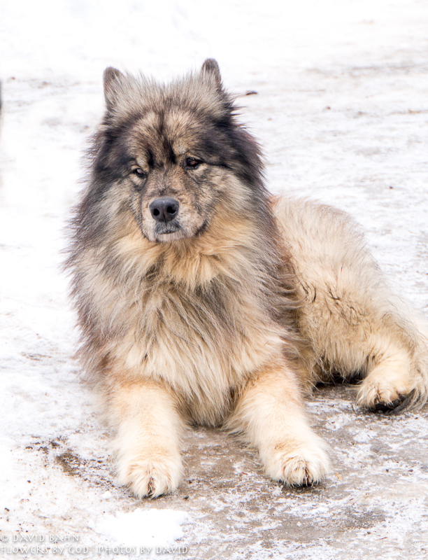 20191229-DSC00050-Edit-Edit