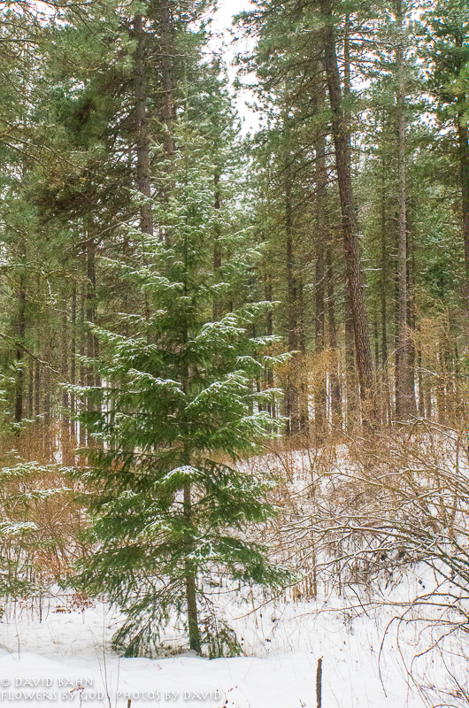 20191229-DSC00099-New Blog Post-2