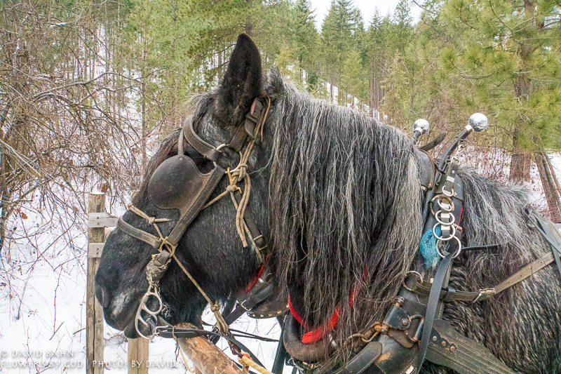 20191229-DSC00101-New Blog Post-2