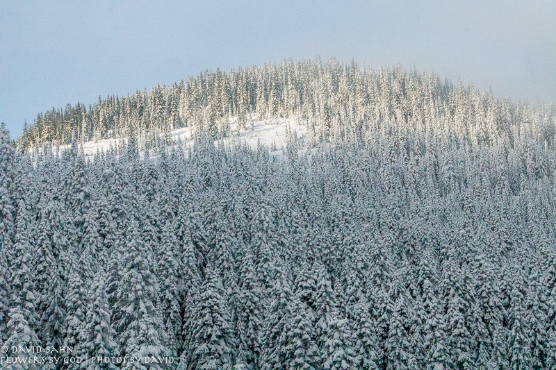 20191229-DSC00114-New Blog Post-2