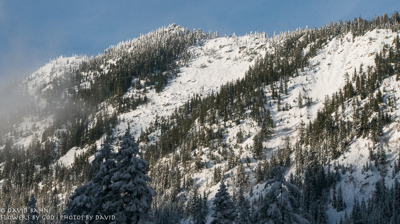 20191229-DSC00117-New Blog Post-2