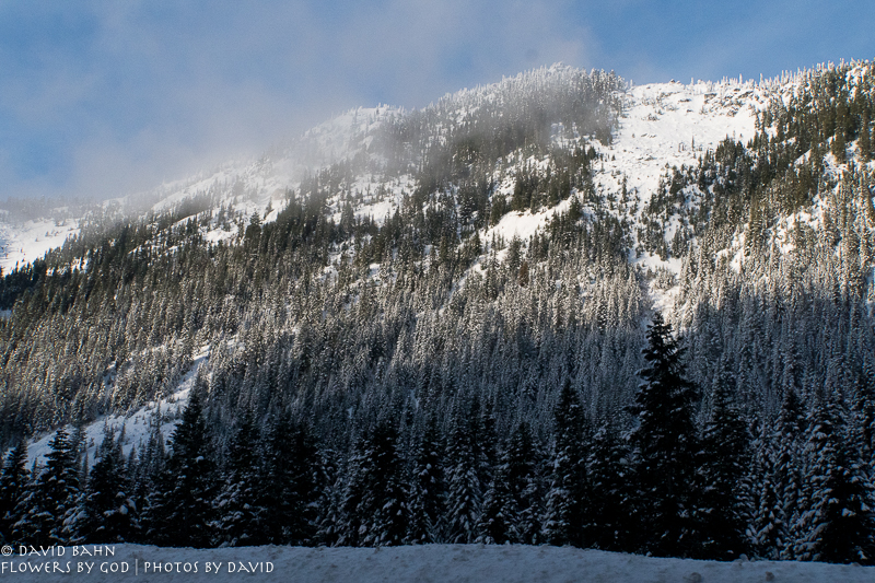 20191229-DSC00119-New Blog Post-2