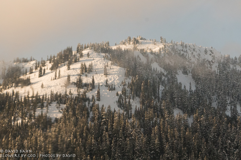 20191229-DSC00123-New Blog Post-2