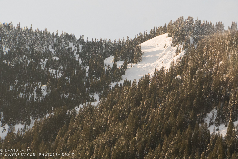 20191229-DSC00125-New Blog Post-2