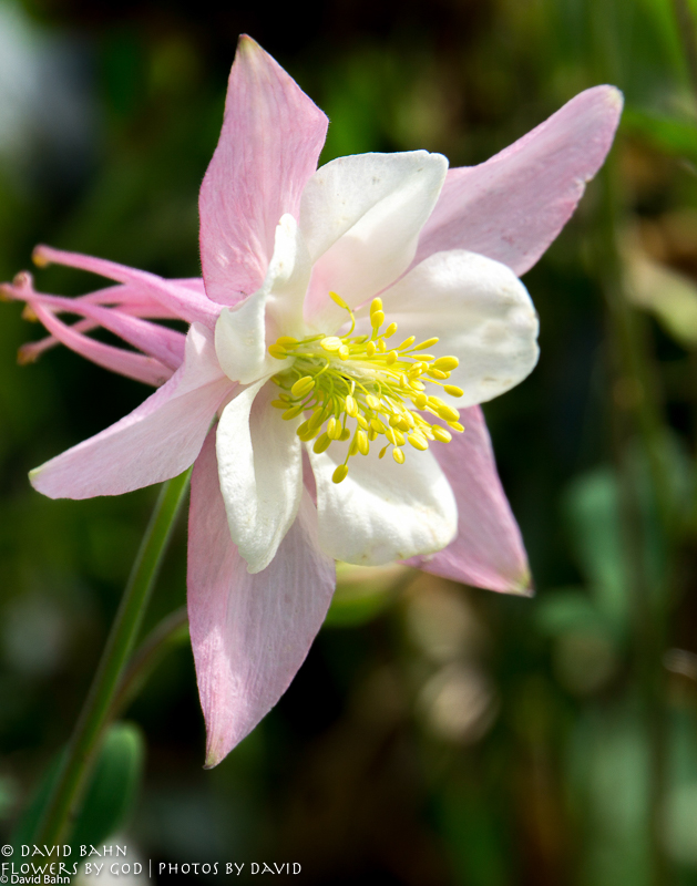 20160726-Anchorage-02095