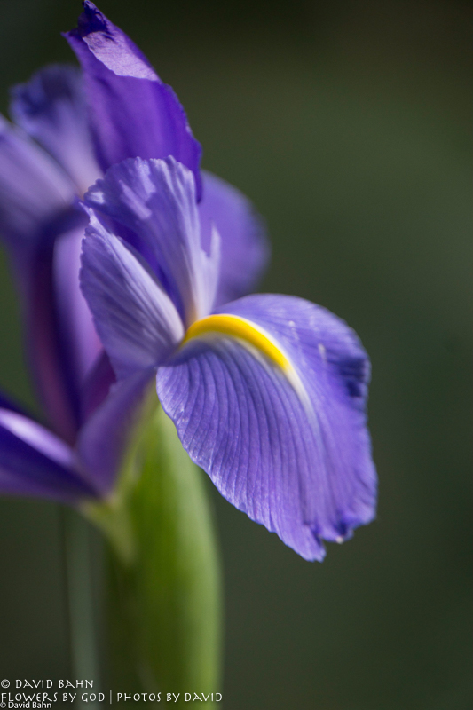 20160730-Train-Ride-02468