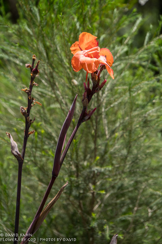20200213-DSC00266