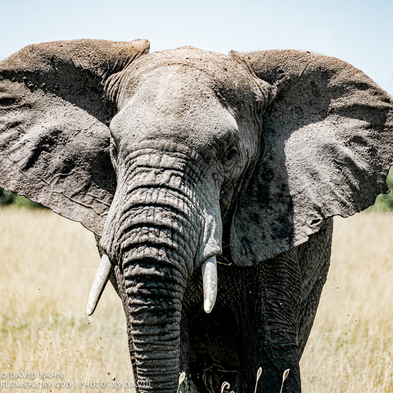 20200220-DSC02134-Edit-3