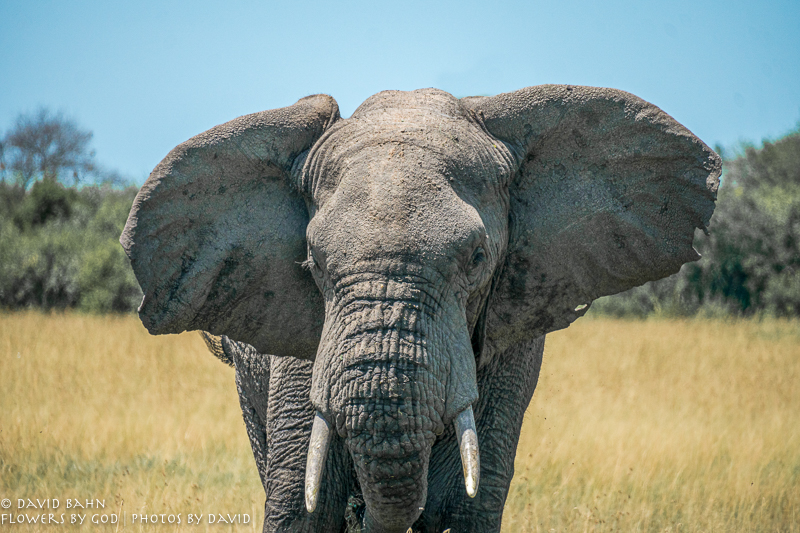 20200220-DSC02136-Edit