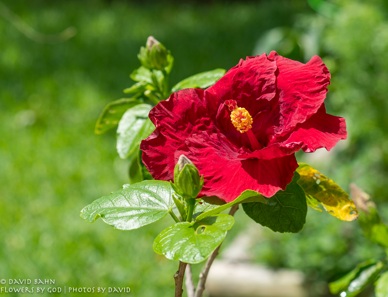 20200525-DSC03452