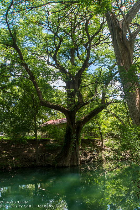 20200625-DSC03811-HDR