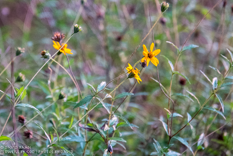 20200625-DSC03826