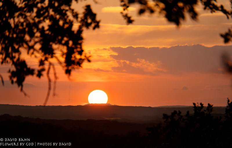 20200625-DSC03827_28_29_30hdr