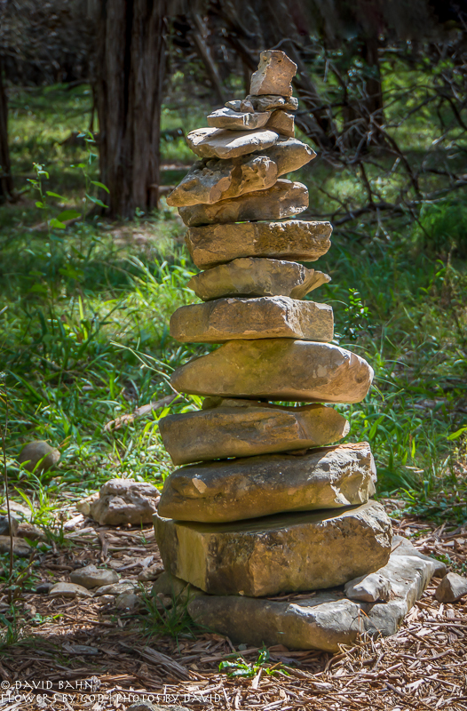 20200625-DSC03768-HDR-Edit