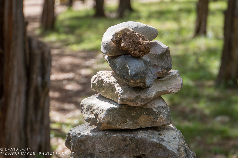 20200625-DSC03779-HDR