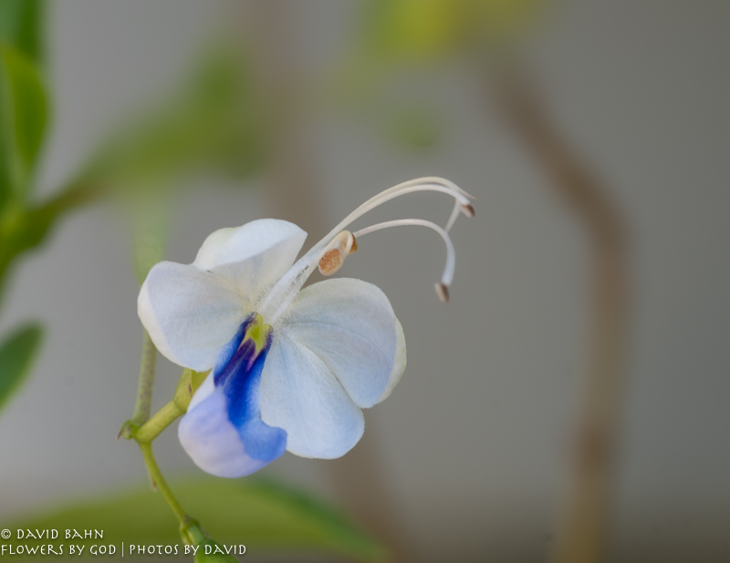 20200713-DSC03962-2-Edit