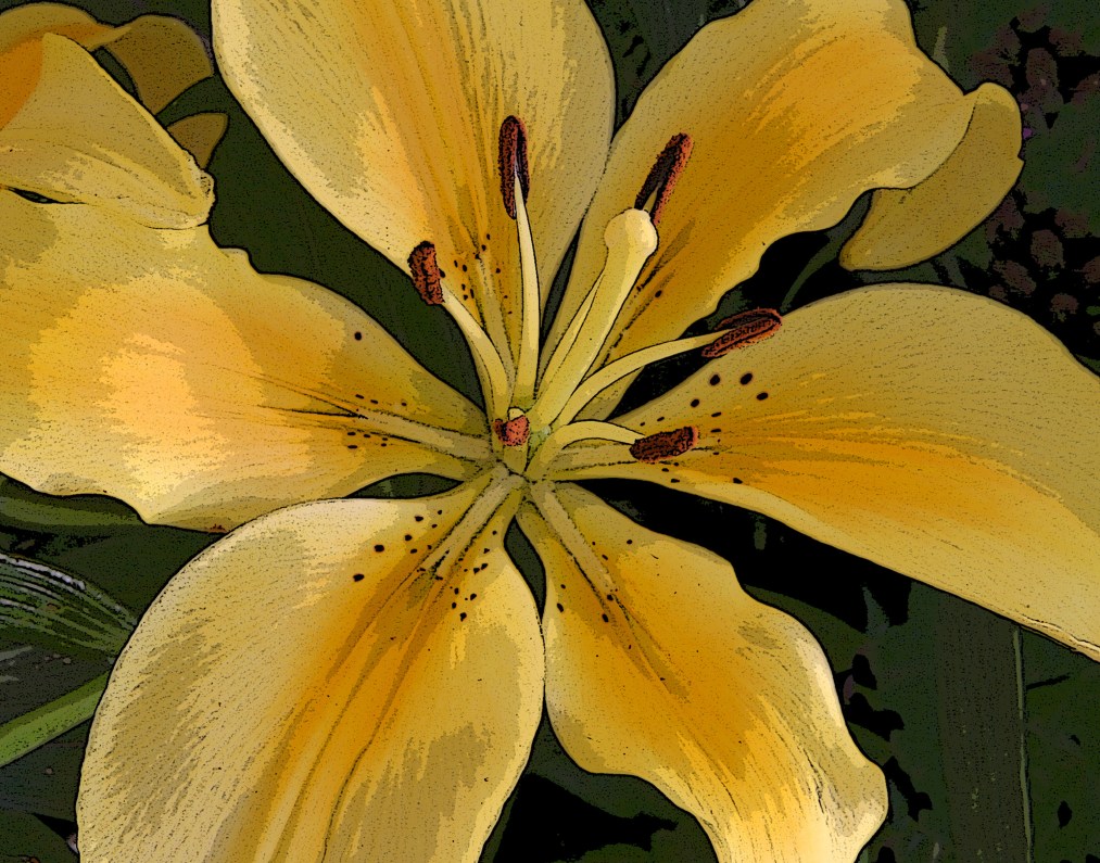 <em>Unfolded Yellow</em> | Cypress, TX | 2006