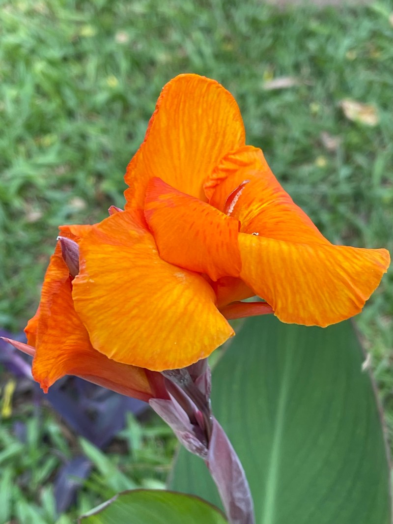 Cana | Mwanza, Tanzania | June 2023